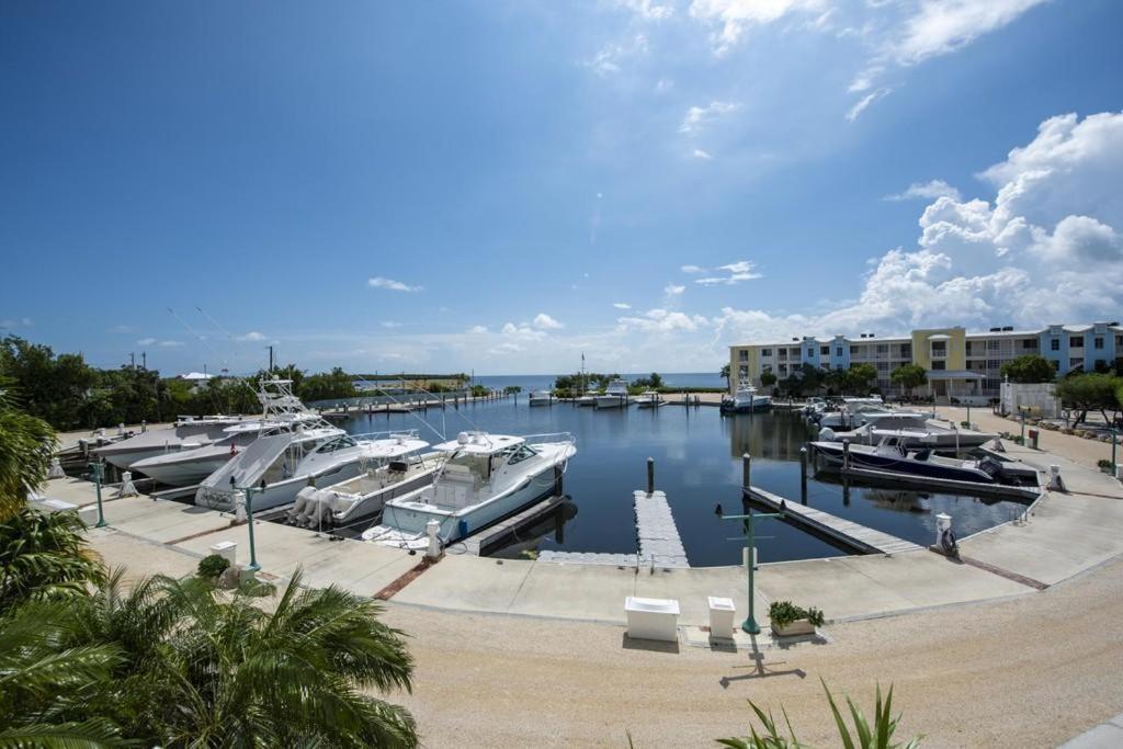 Licensed Mgr - 3/3.5 Modern Villa - Key Largo'S Premier Oceanfront Resort And Marina! Extérieur photo